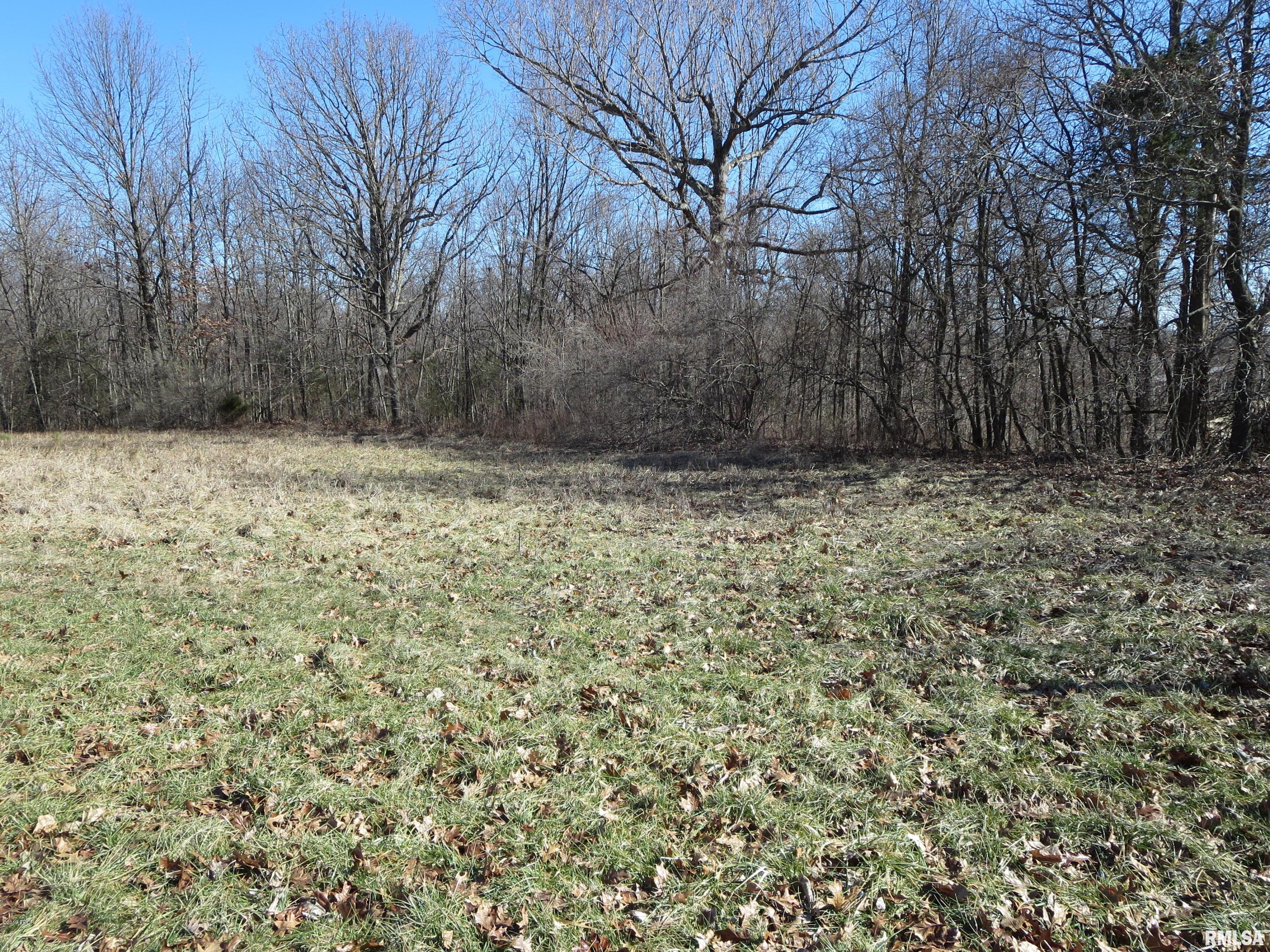 0 Jordans Fort Road Pittsburg, IL 62974 - Photo 6 of 20