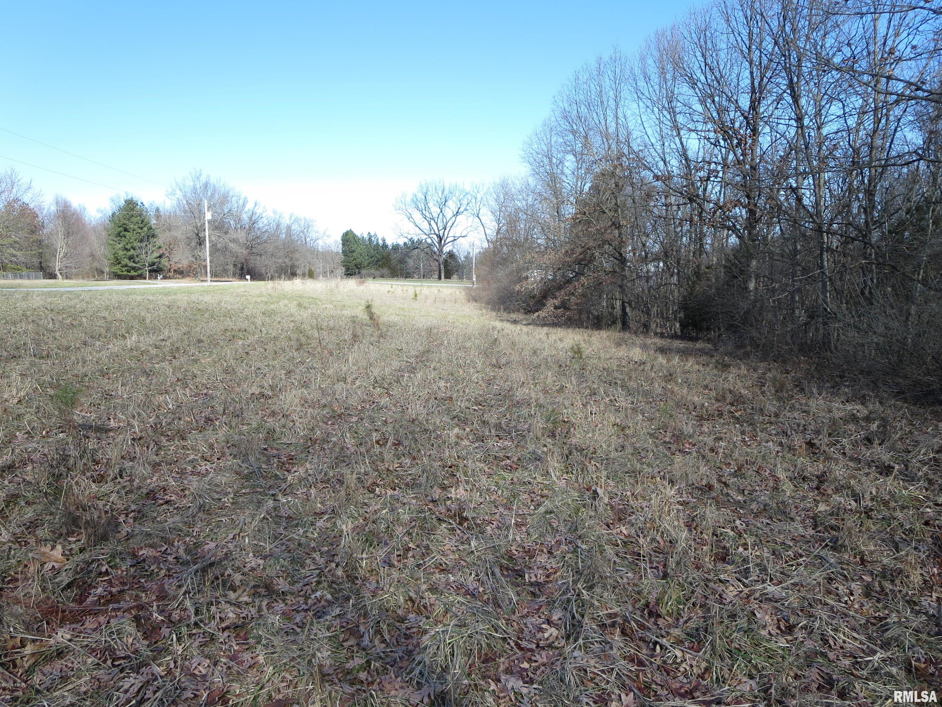 0 Jordans Fort Road Pittsburg, IL 62974 - Photo 8 of 20