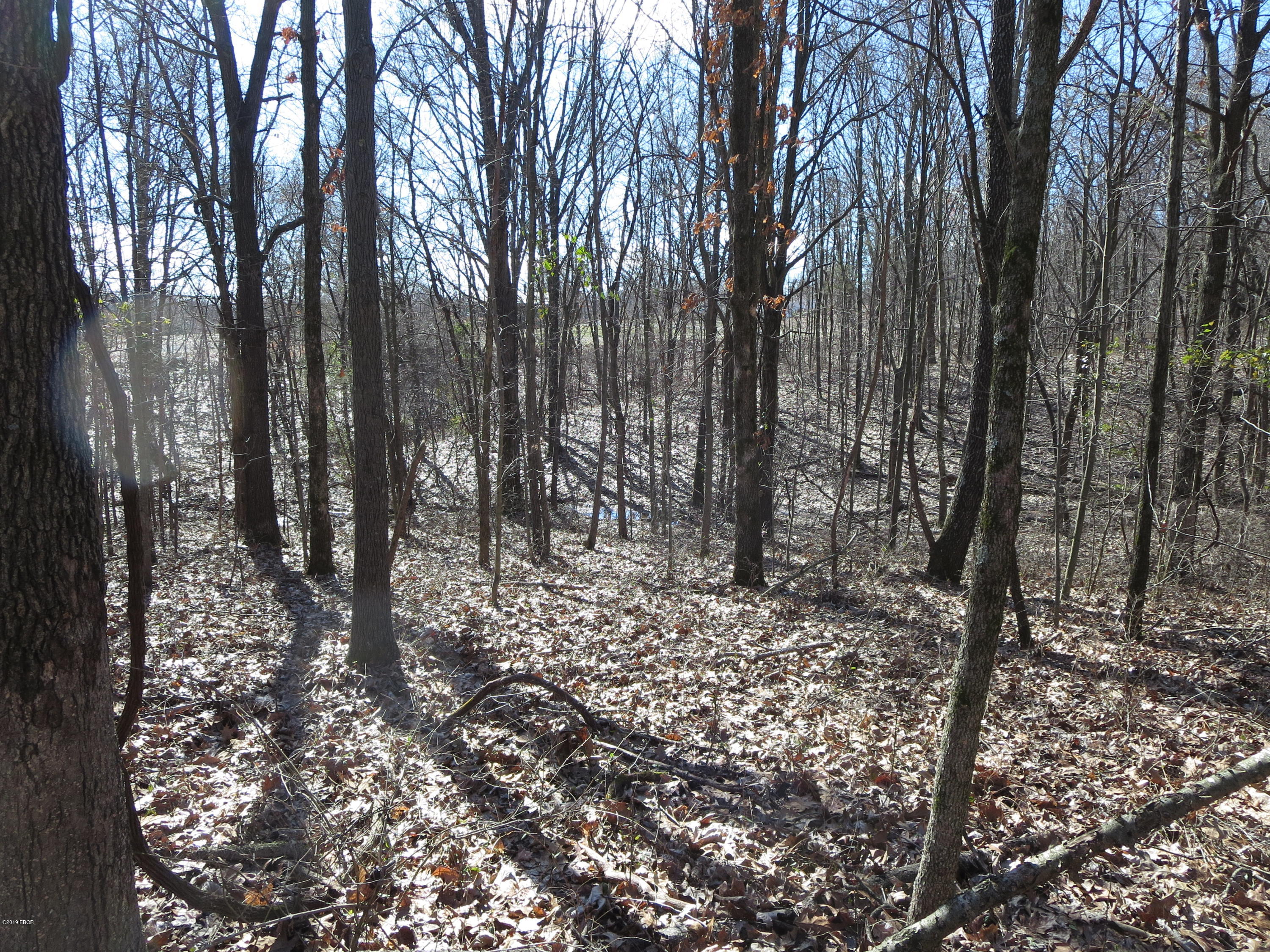 0 Jordans Fort Road Pittsburg, IL 62974 - Photo 10 of 20