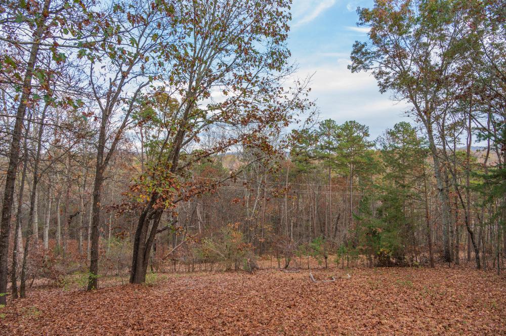 1838 Julian Ridge Road Chattanooga, TN 37421 - Photo 28 of 29 2022_11_November_1838_Julian_Ridge_Rd_00