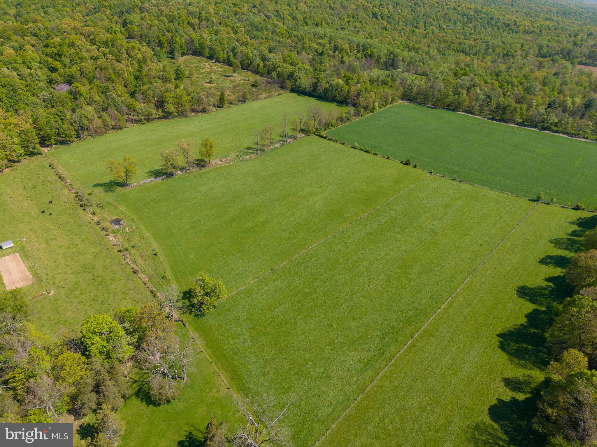 215 Droneberger Road Blain, PA 17006 - Photo 12 of 81