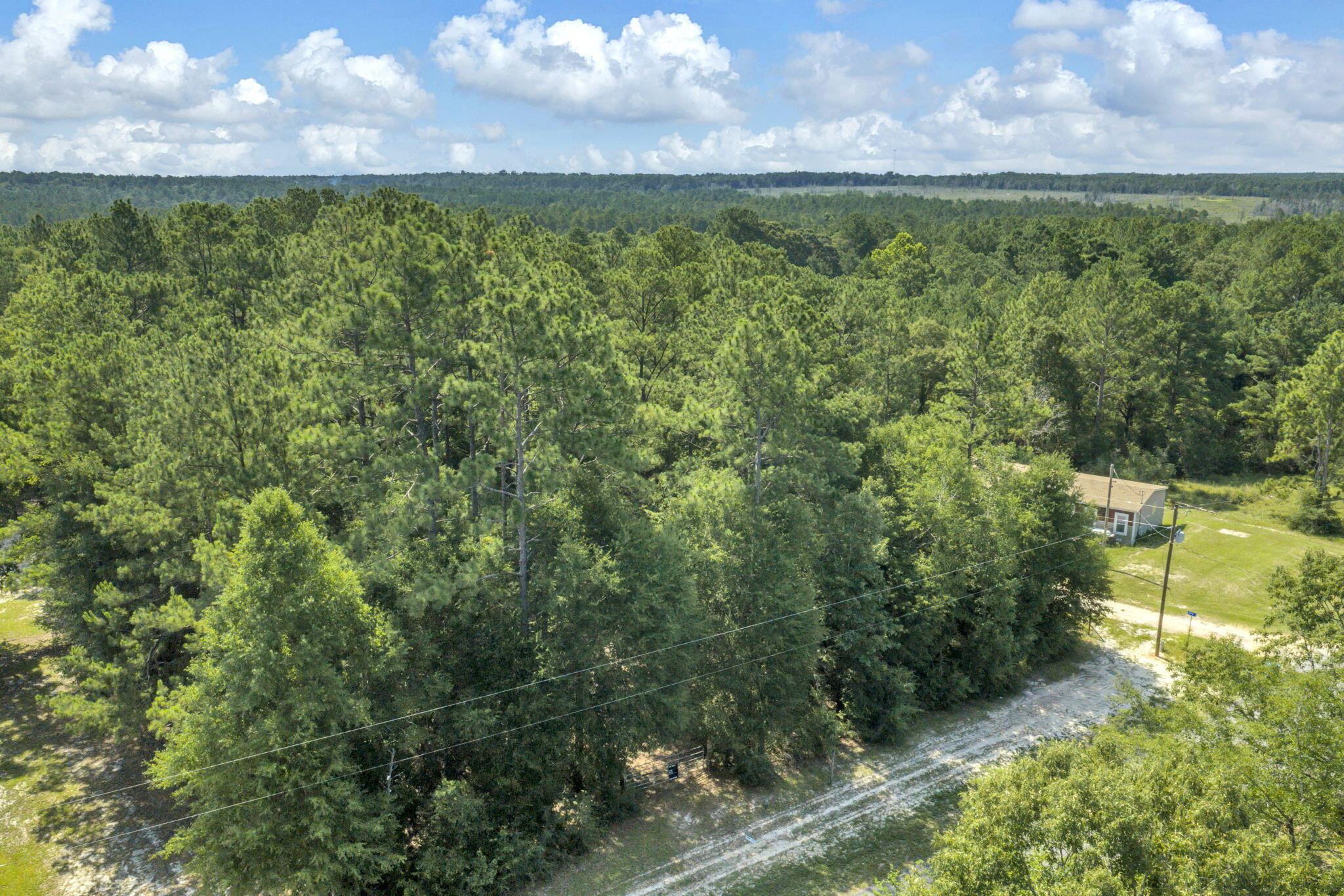 82 Acres 4 Flags Road Laurel Hill, FL 32567 - Photo 16 of 45 2-web-or-mls-DJI_20260702101850_0511_D