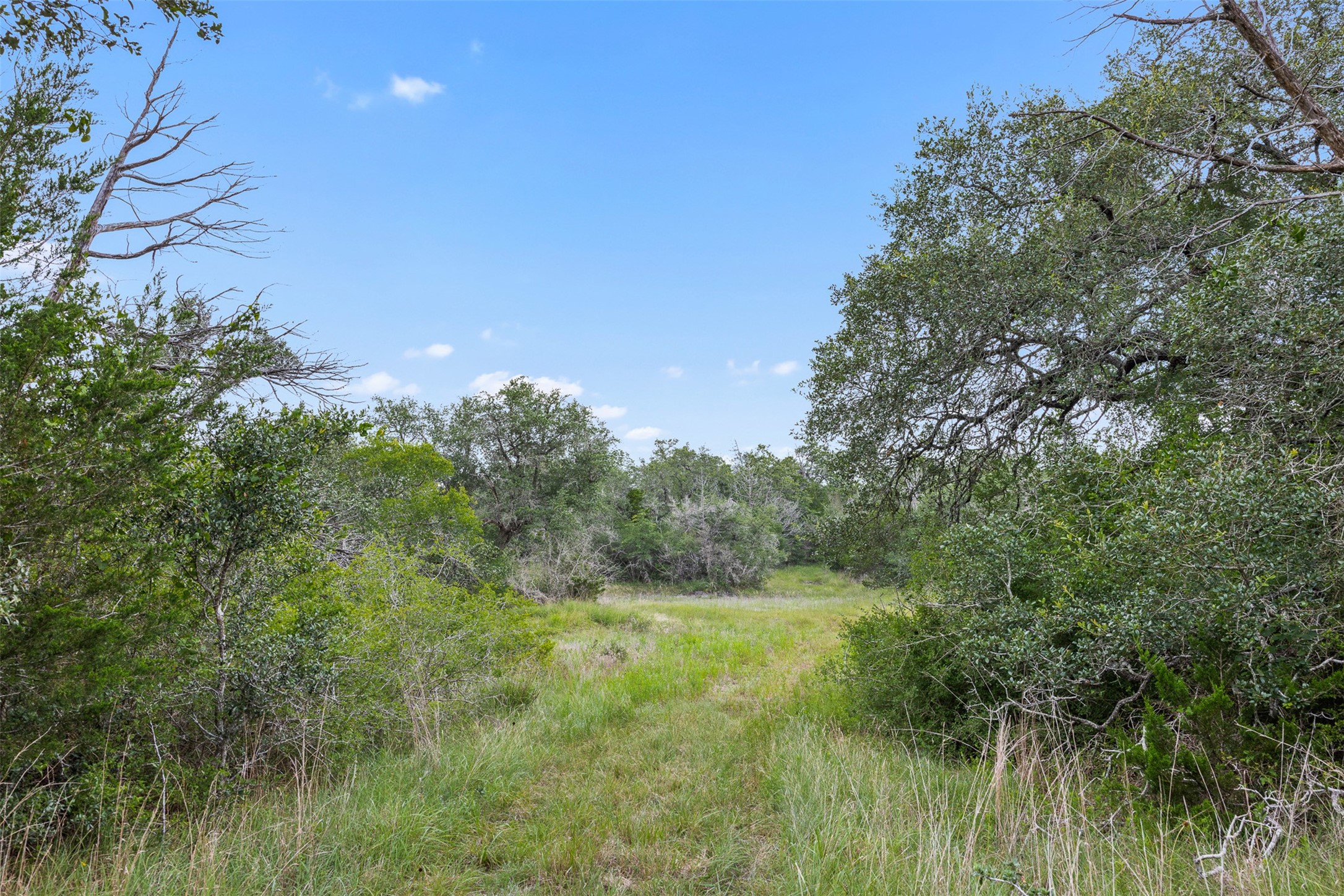0 Schuster Road Round Top, TX 78954 - Photo 18 of 26