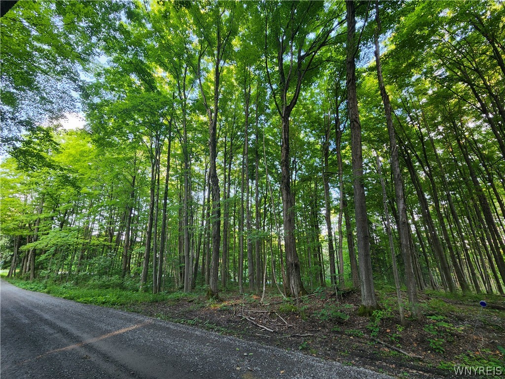 1199 Sierk Road Bennington, NY 14011 - Photo 22 of 24