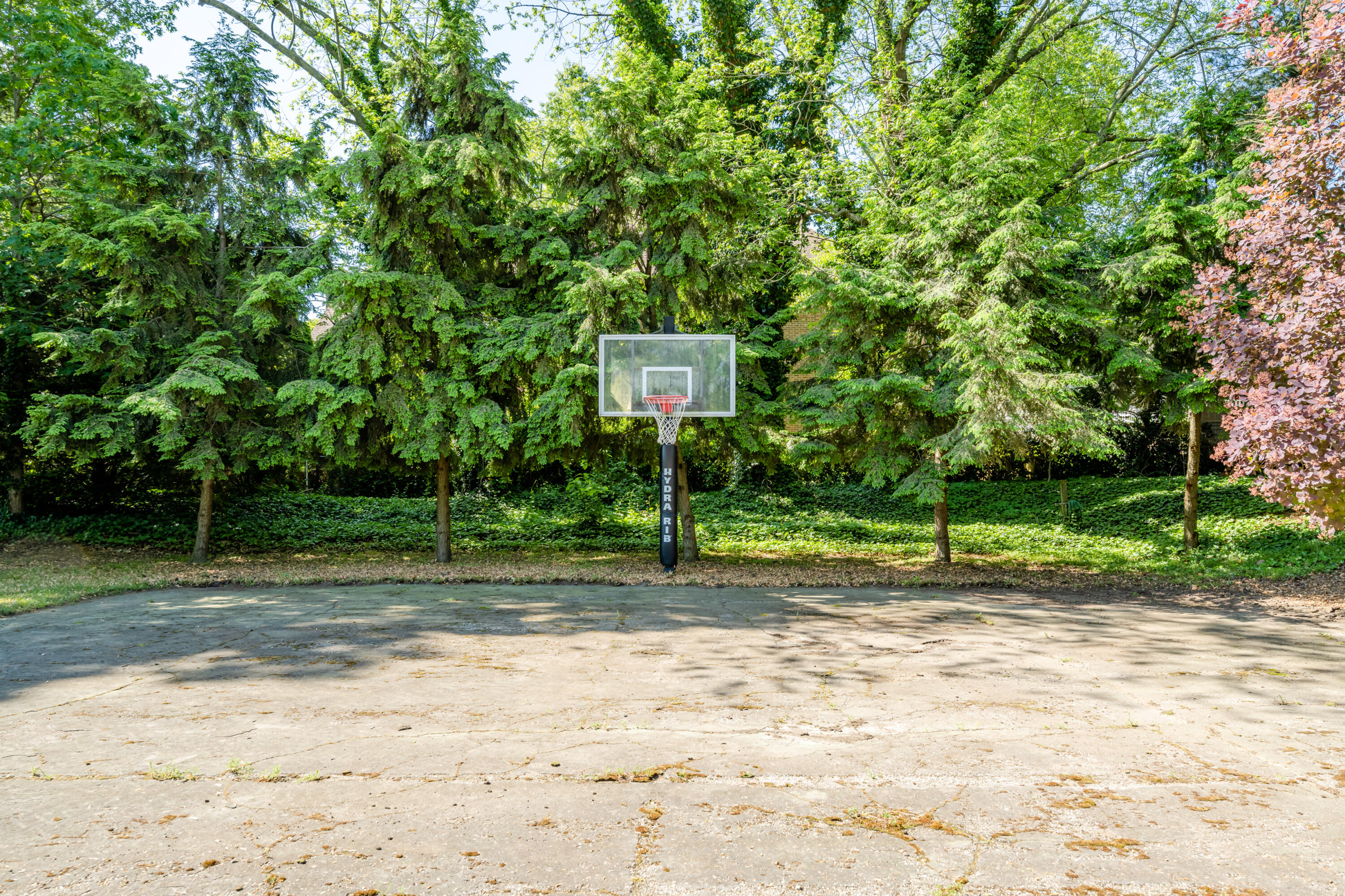 4453 Ridge Road Stevensville, MI 49127 - Photo 57 of 89 Basketball Court