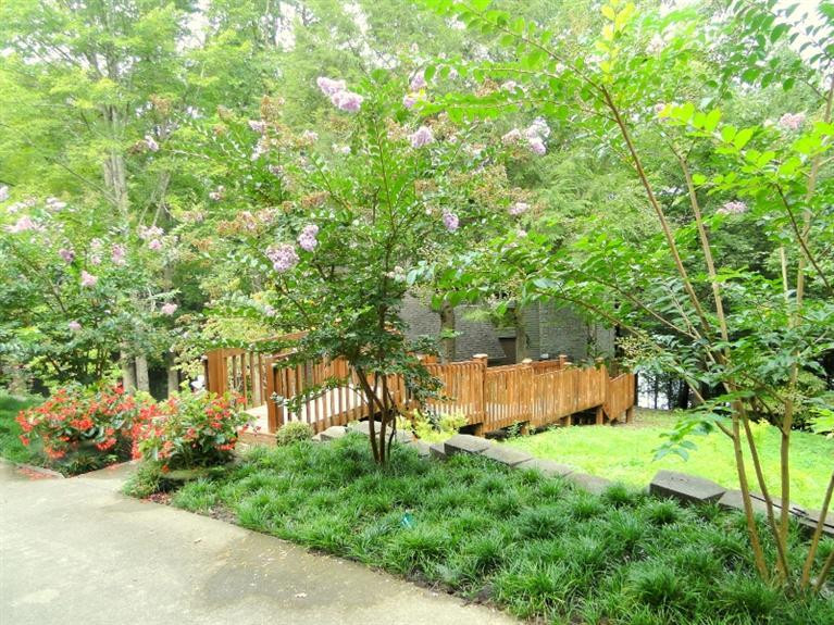 808 Lake Road London, KY 40741 - Photo 7 of 70 Lush landscape