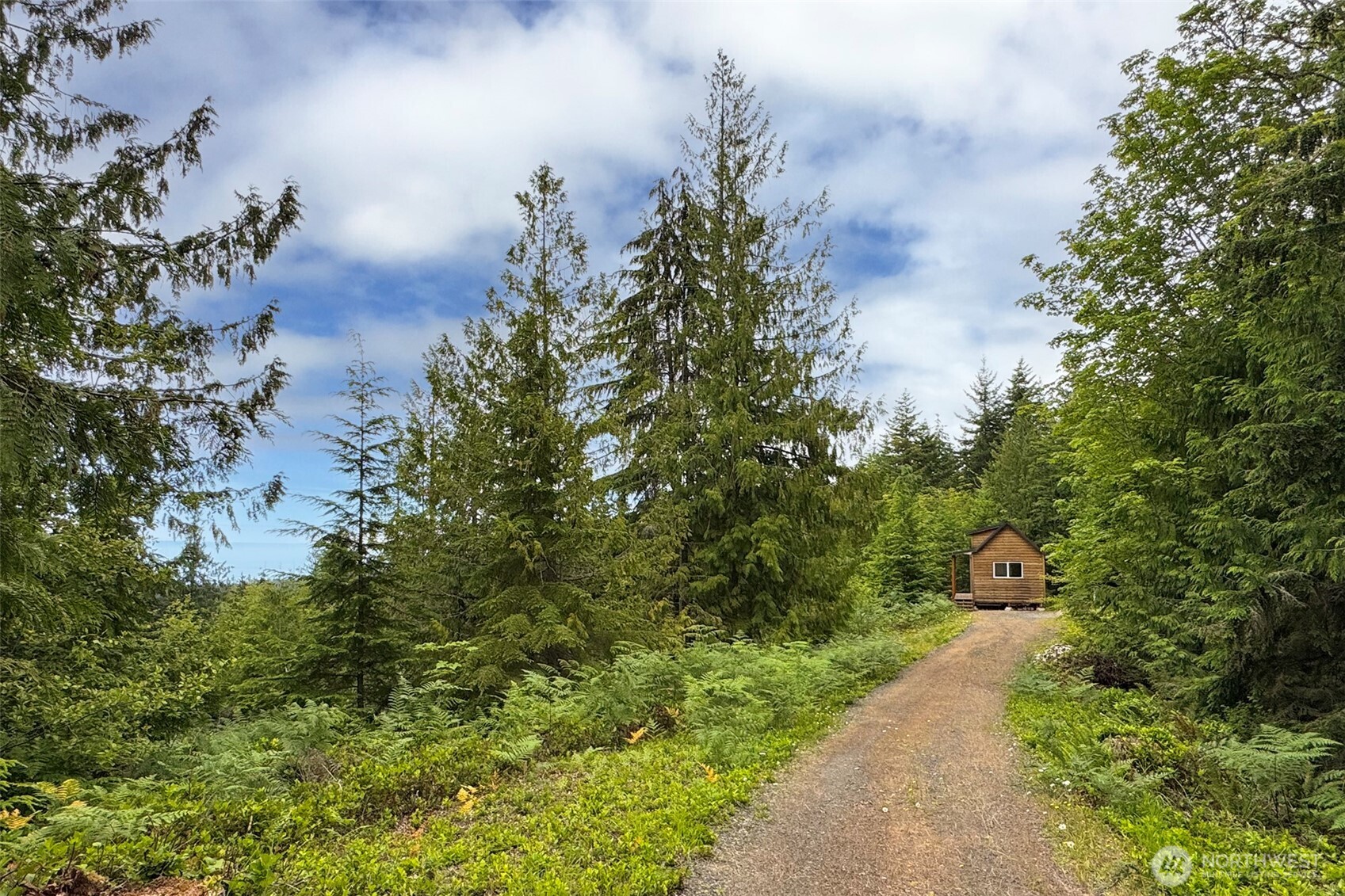 445 Watershed Road Port Angeles, WA 98362 - Photo 22 of 38 Gallery Image 22