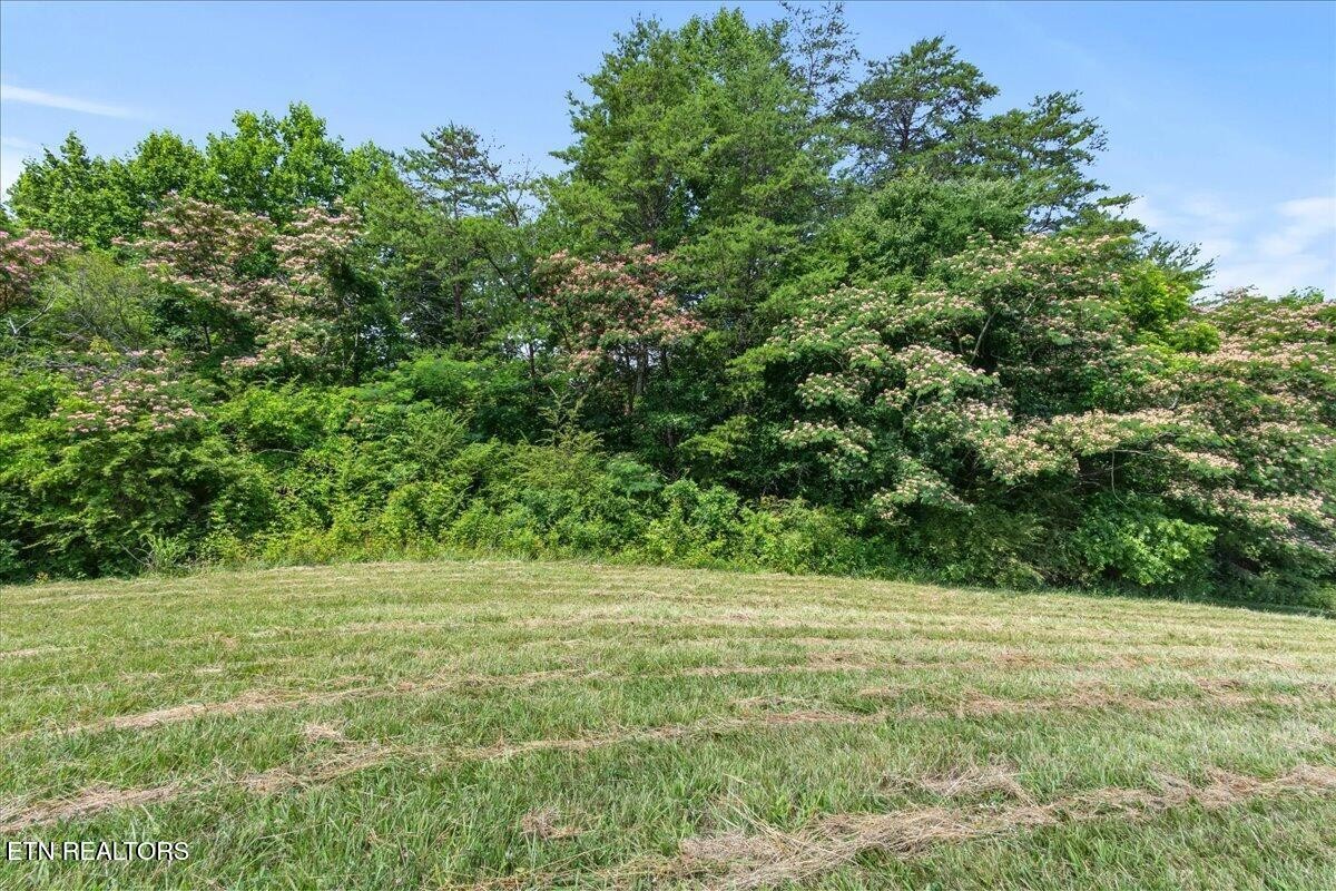 982 Wilson Station Road Madisonville, TN 37354 - Photo 45 of 46