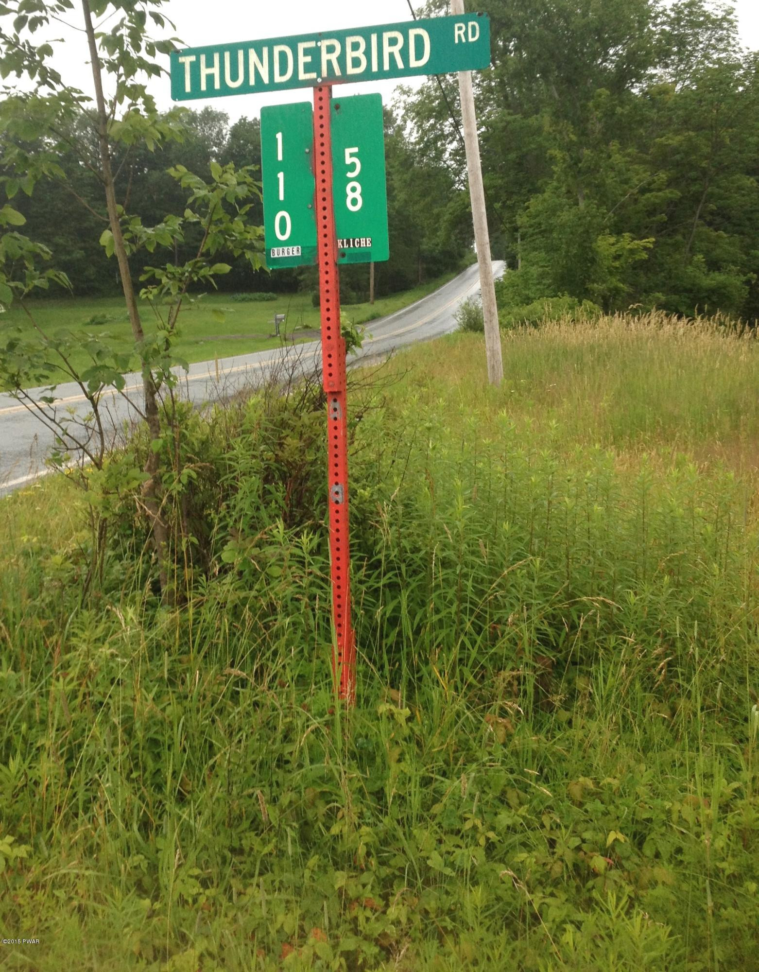 Thunderbird Road Pleasant Mount, PA 18453 - Photo 16 of 16 Gallery Image 16