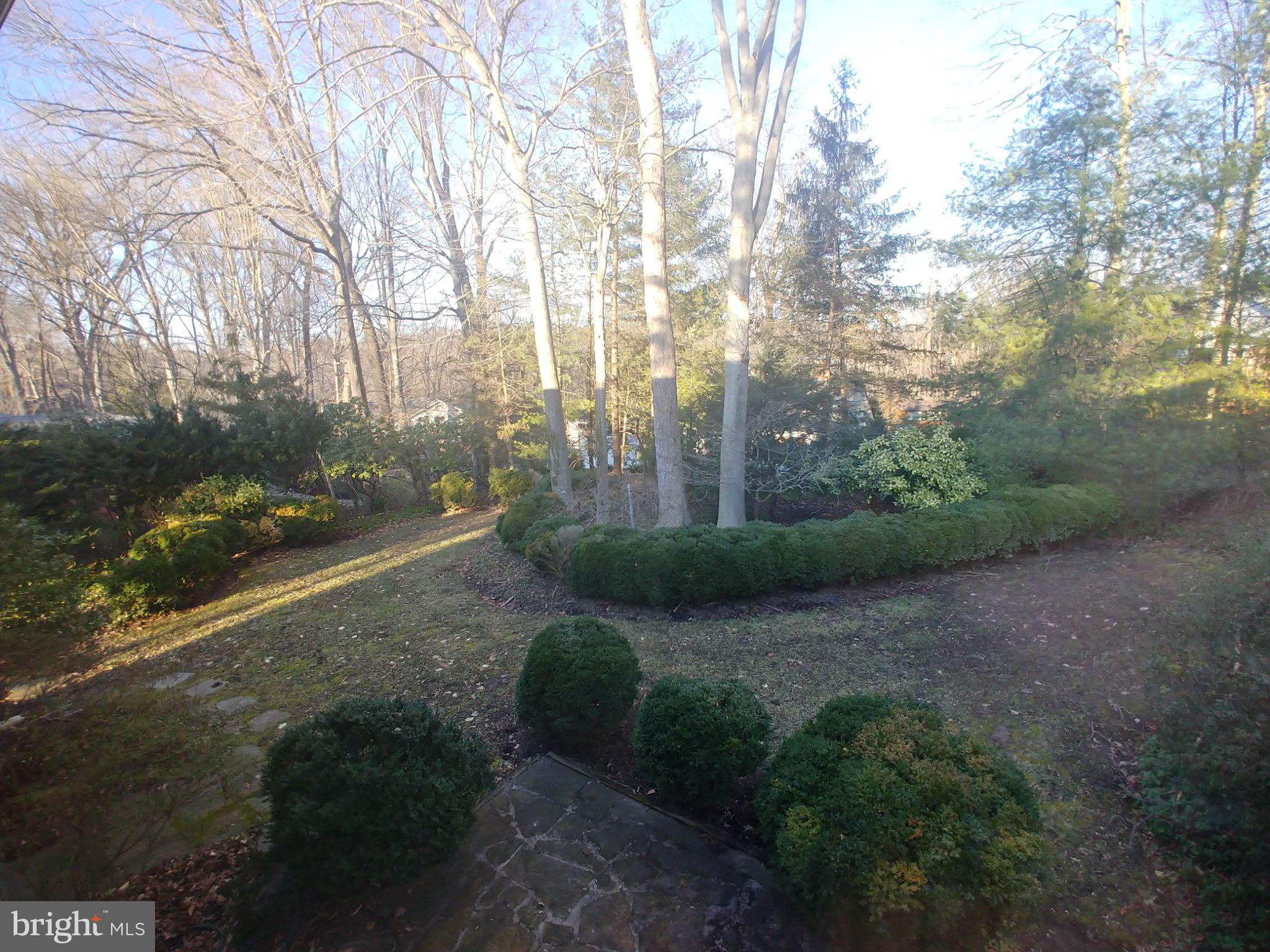 1429 Laburnum Street McLean, VA 22101 - Photo 18 of 26 Serene garden with lush greenery.