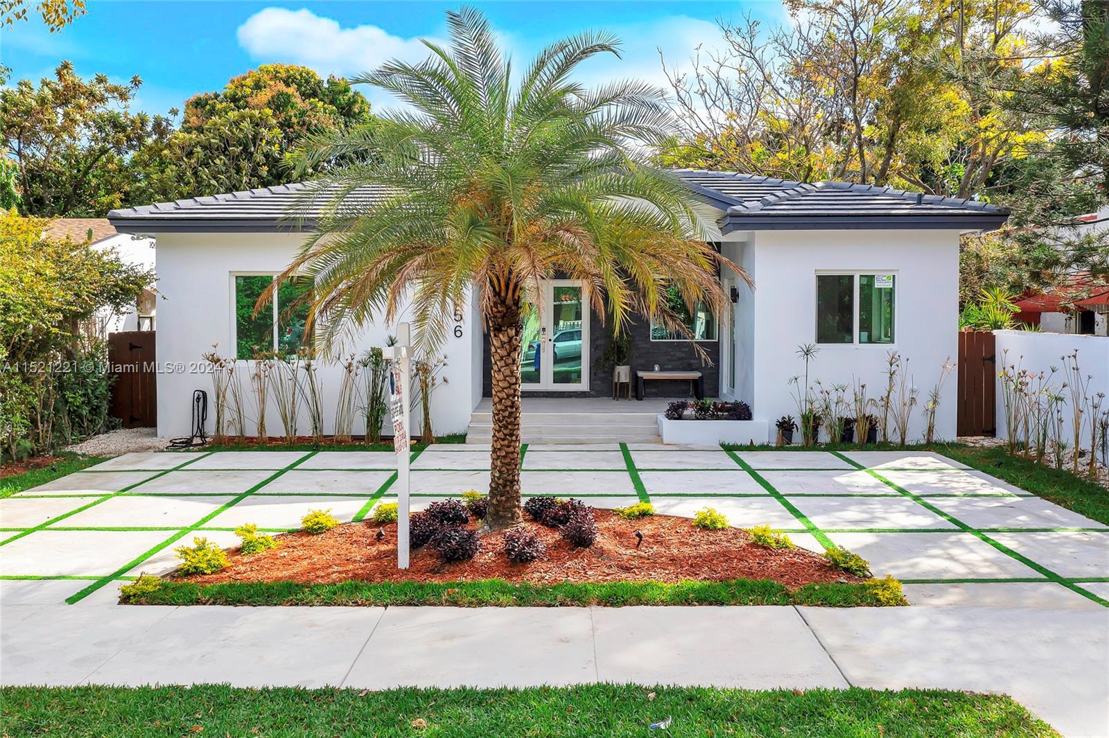 a view of a backyard with plants and palm tree