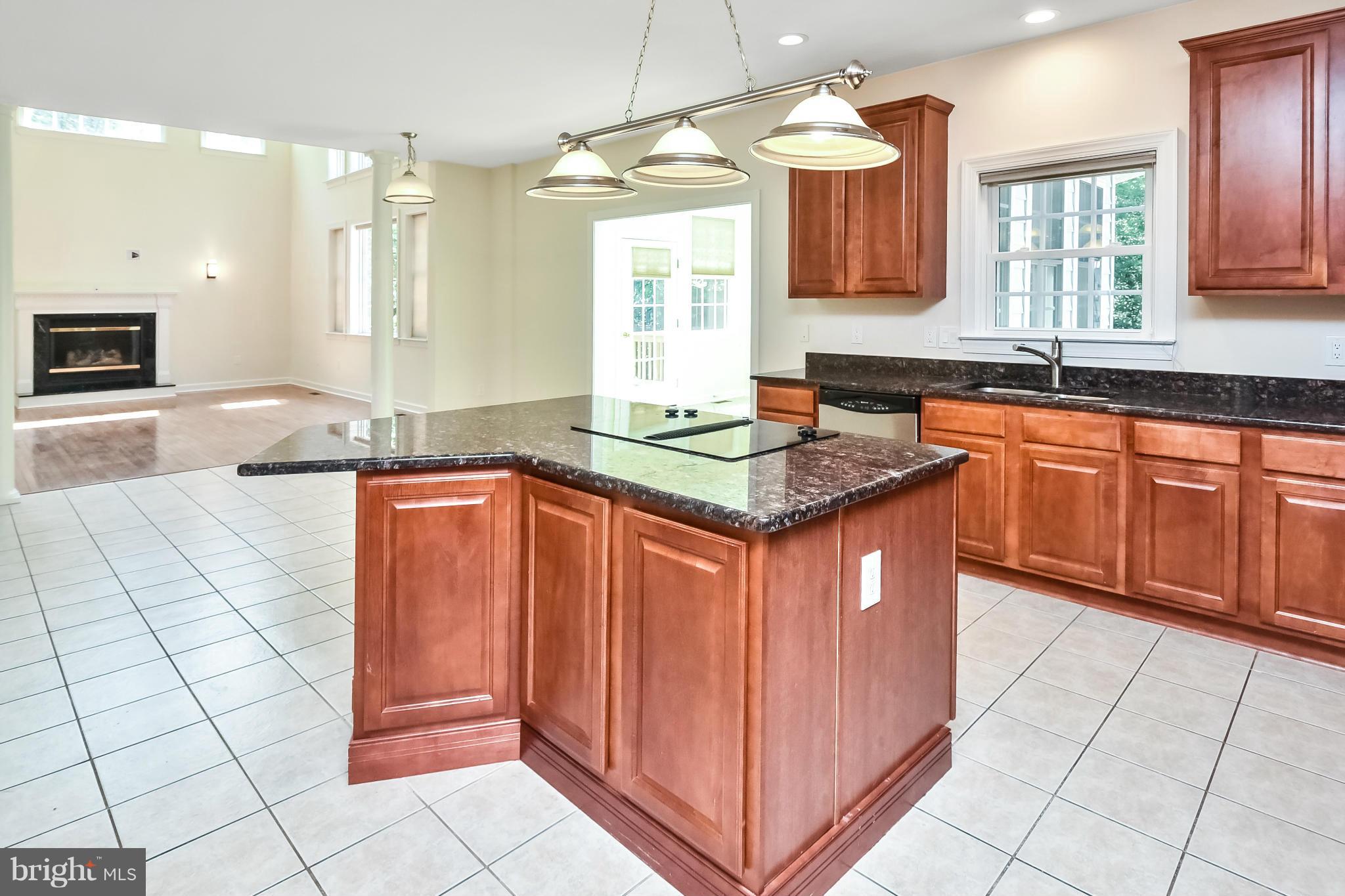 9 Johnson Mill Ridge Fredericksburg, VA 22406 - Photo 11 of 30 a kitchen with stainless steel appliances granite countertop a sink stove and cabinets