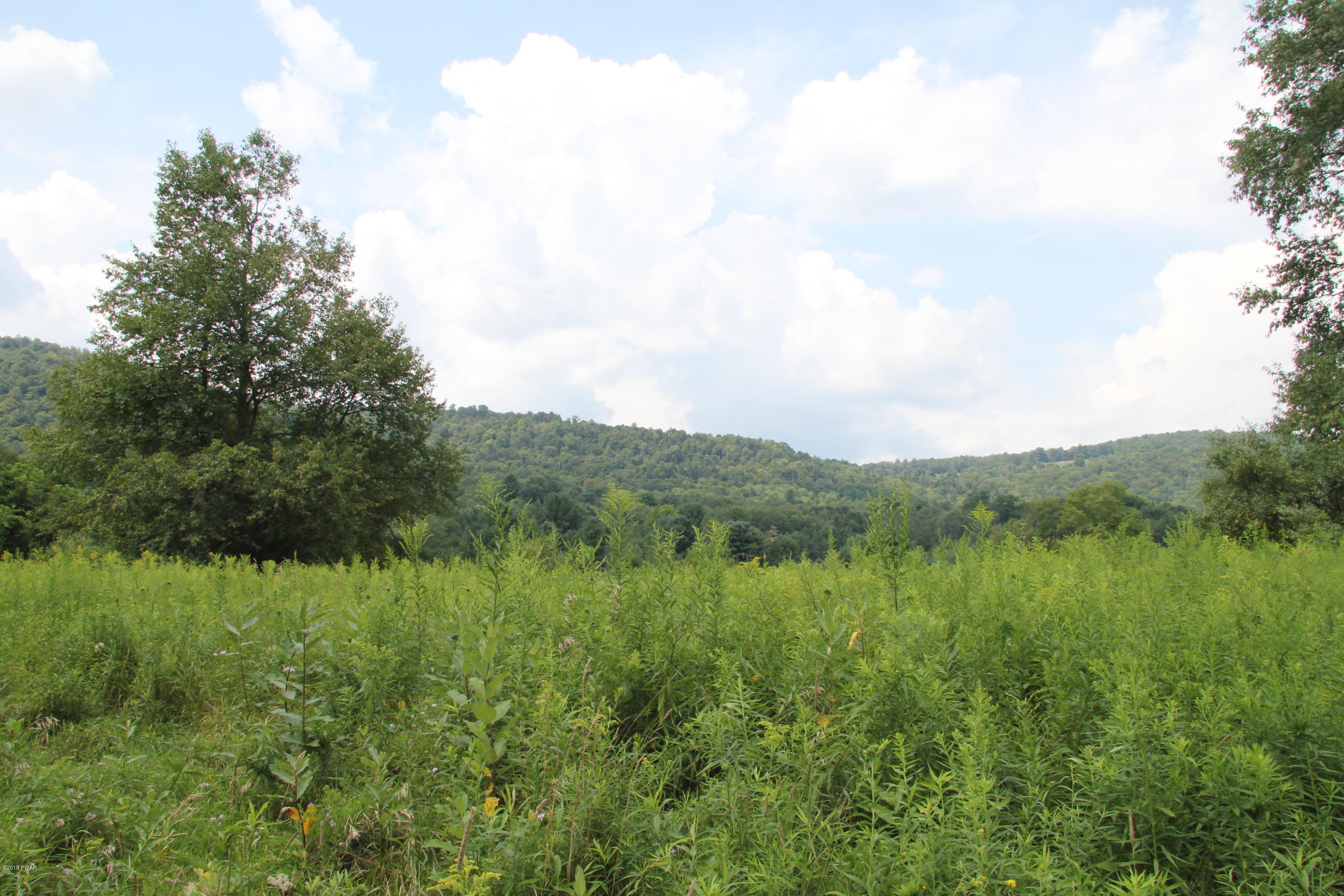 Winterdale Road Starlight, PA 18461 - Photo 8 of 14