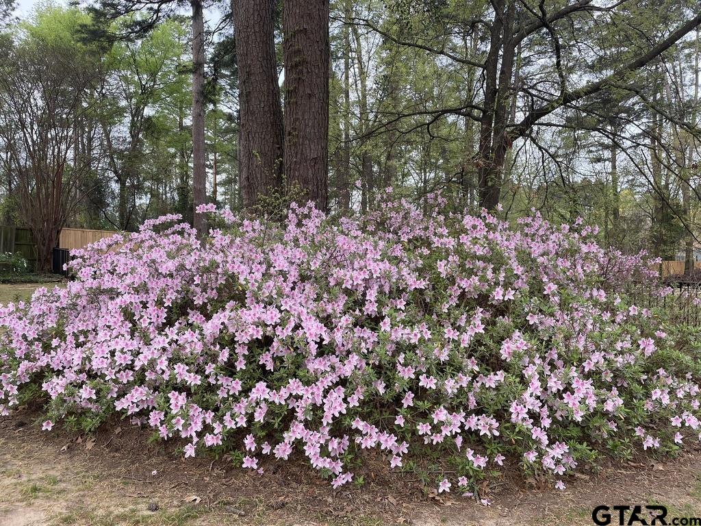7 Summer Creek Way Longview, TX 75604 - Photo 42 of 48