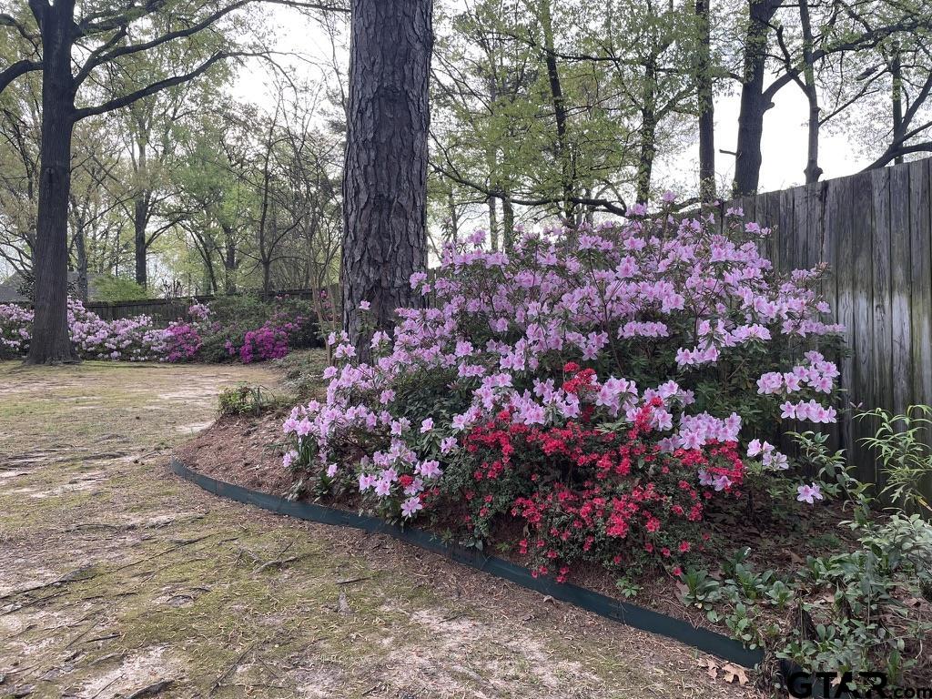 7 Summer Creek Way Longview, TX 75604 - Photo 43 of 48 a street view with sitting space and trees