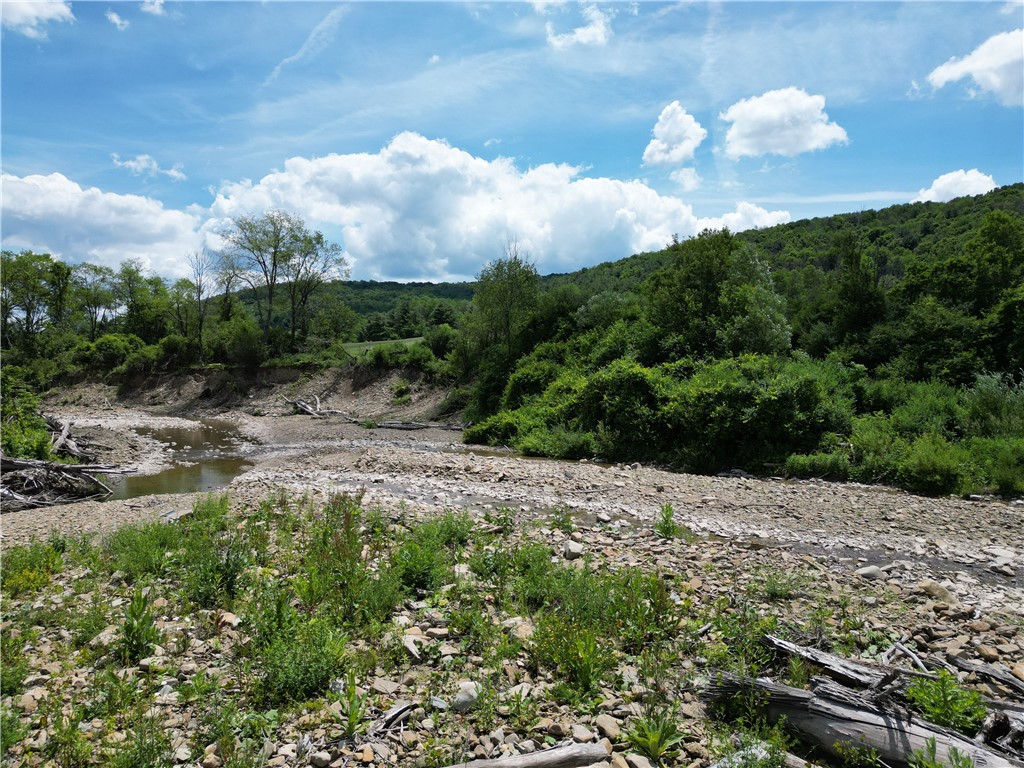 Karr Valley Road Almond, NY 14804 - Photo 4 of 11
