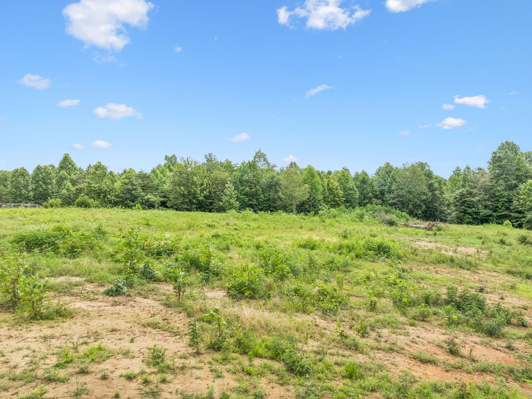 555 Mabry School Road Cookeville, TN 38501 - Photo 3 of 23 Gallery Image 3