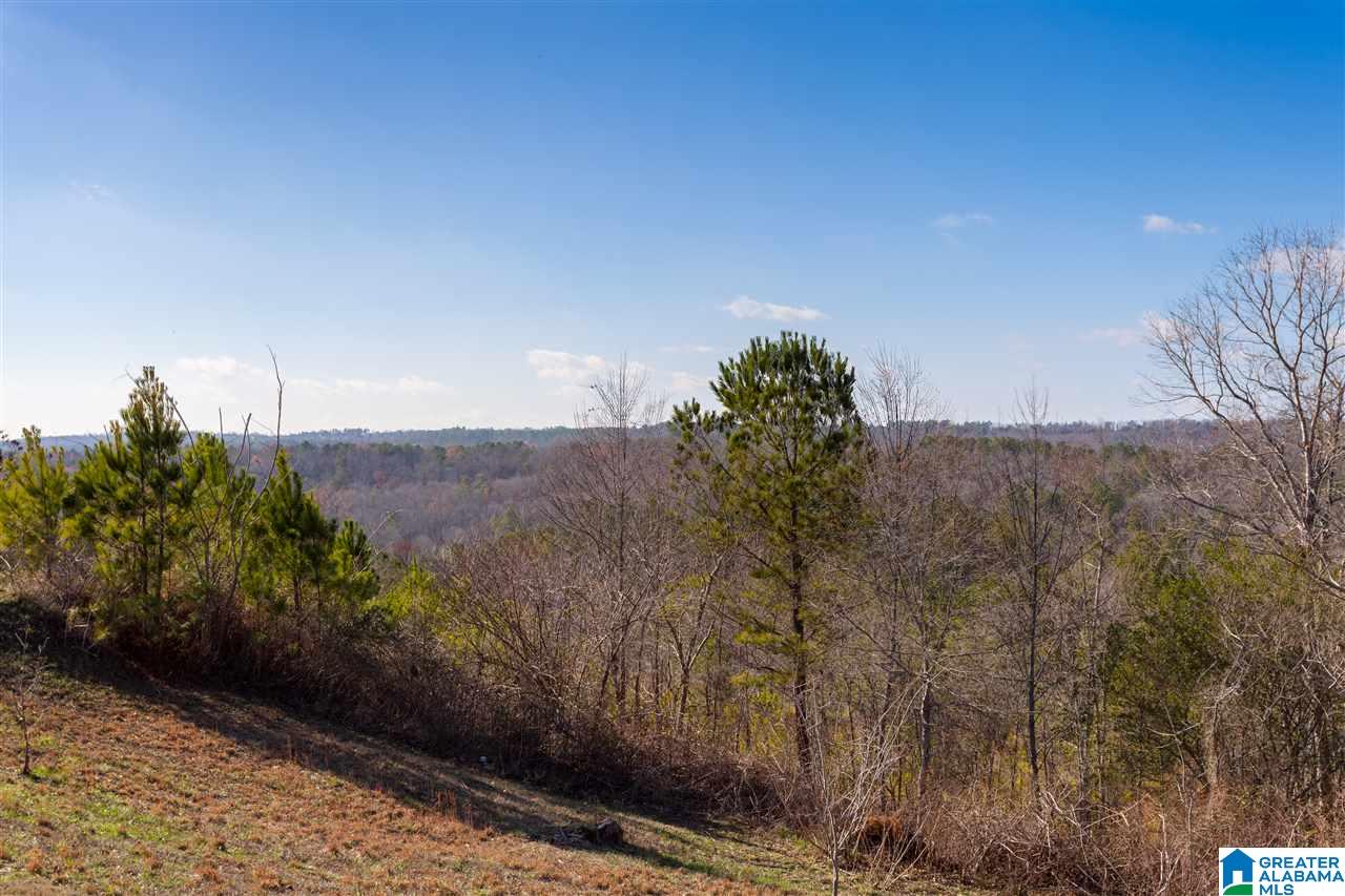 5983 Old Acton Road Moody, AL 35004 - Photo 32 of 32
