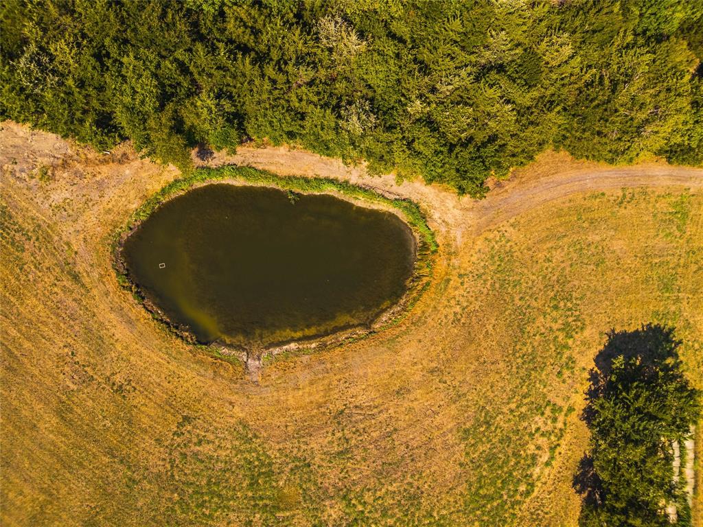 9574 County Road 502 Blue Ridge, TX 75424 - Photo 27 of 33 a view of outdoor space and tree