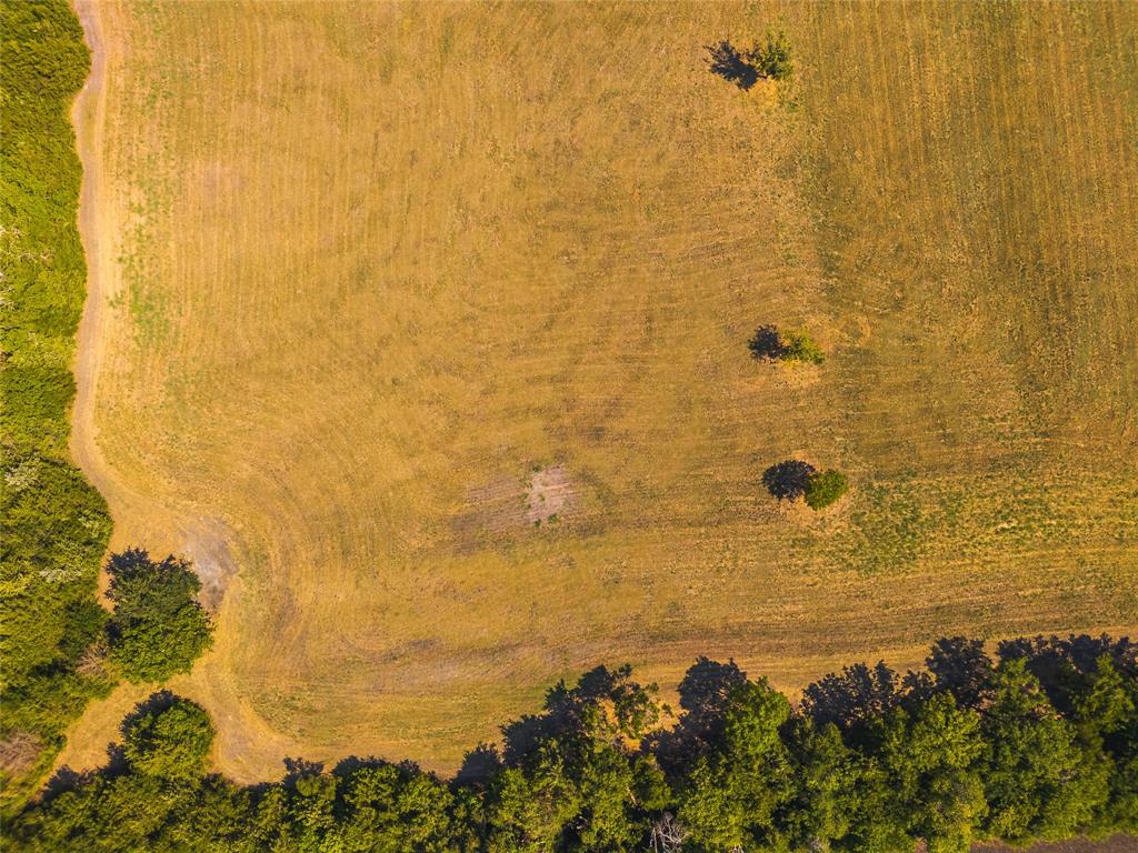 9574 County Road 502 Blue Ridge, TX 75424 - Photo 29 of 33 a bathroom with a shower