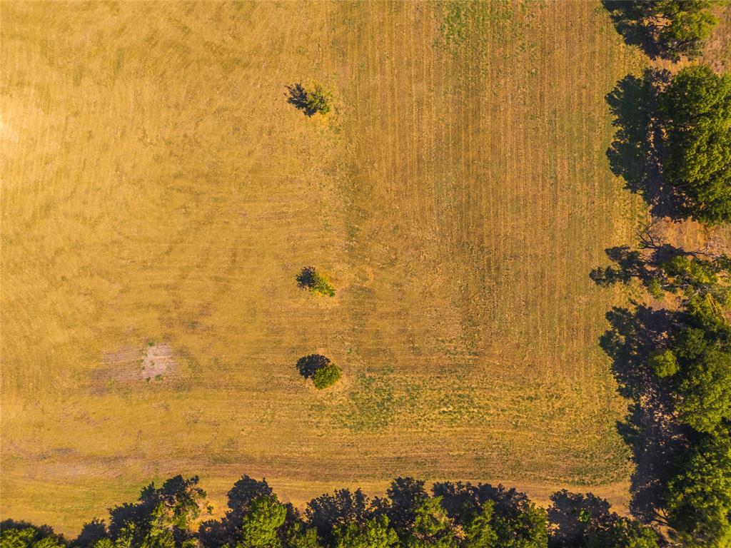 9574 County Road 502 Blue Ridge, TX 75424 - Photo 30 of 33 a bathroom with a shower