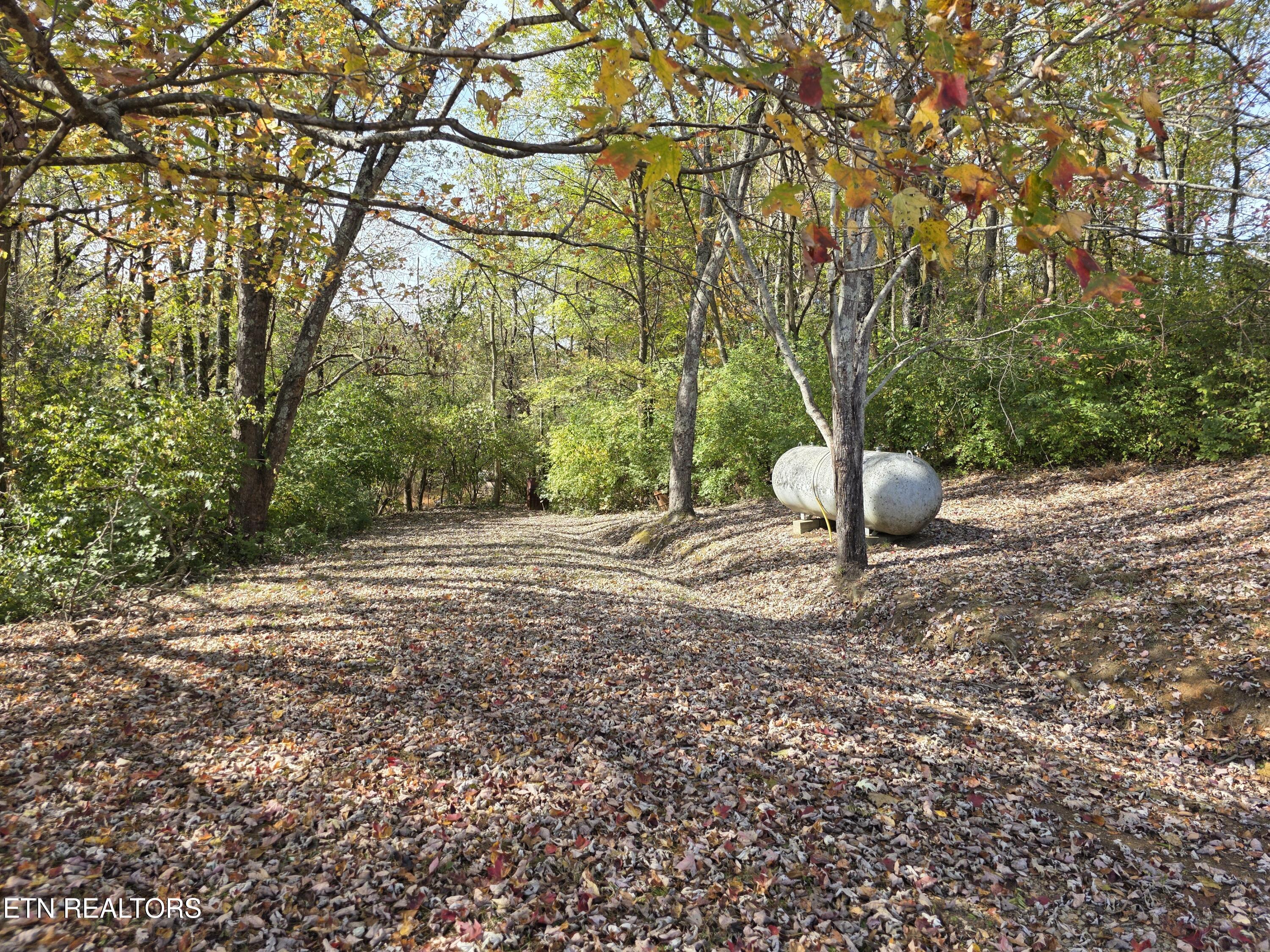 385 Shelton Road Newport, TN 37821 - Photo 29 of 44 1000022950