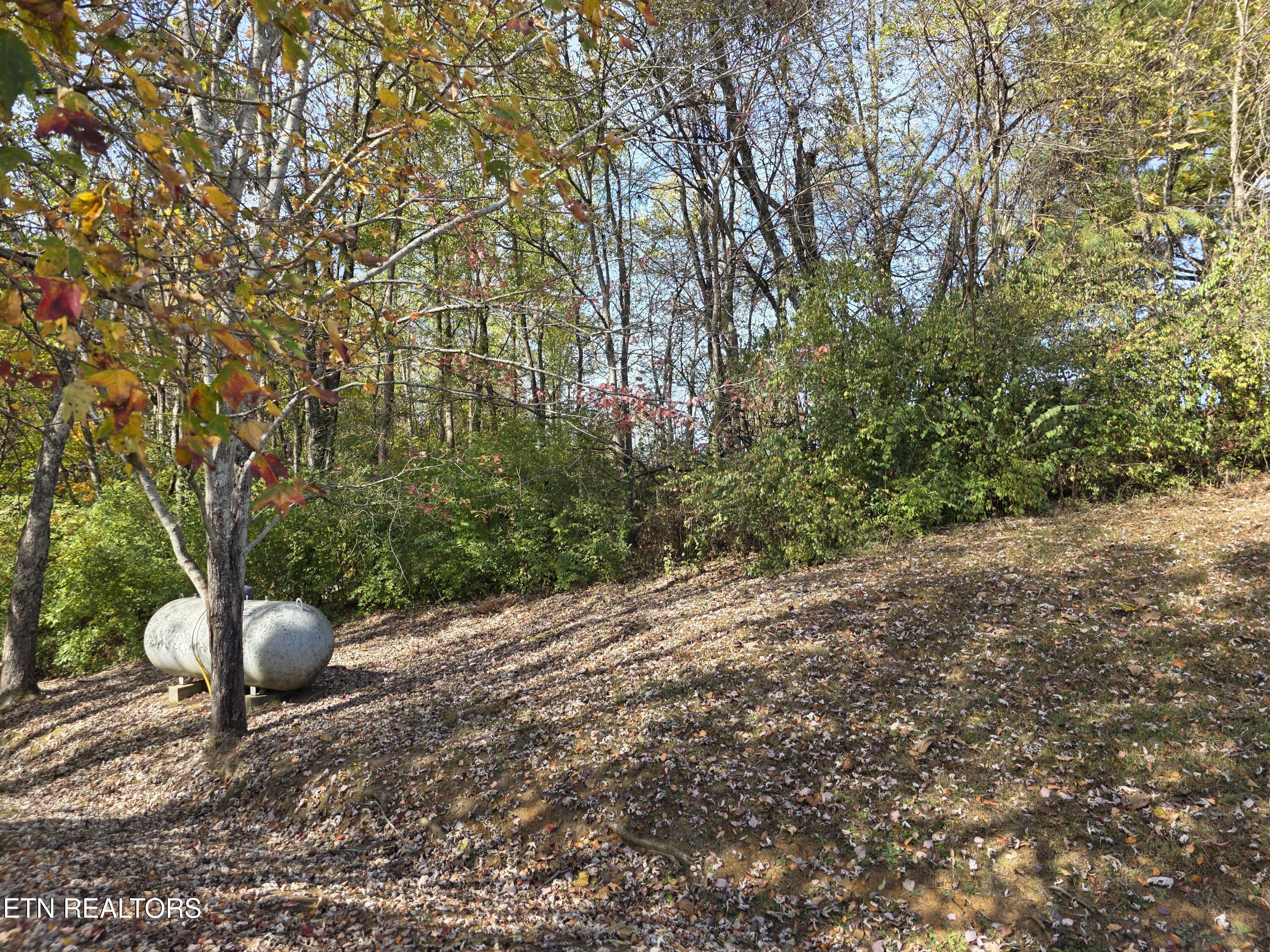 385 Shelton Road Newport, TN 37821 - Photo 30 of 44 1000022951