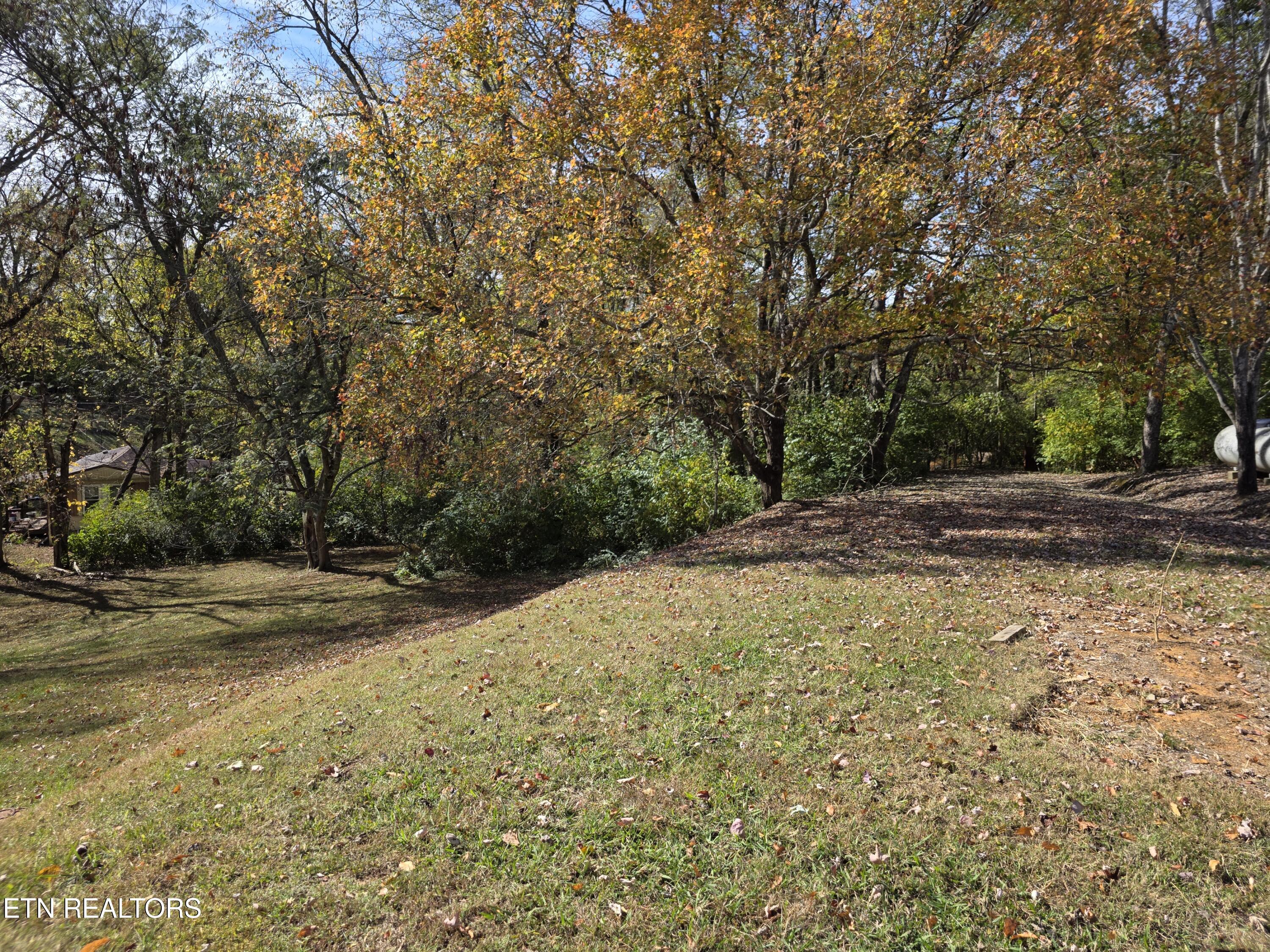 385 Shelton Road Newport, TN 37821 - Photo 33 of 44 1000022937