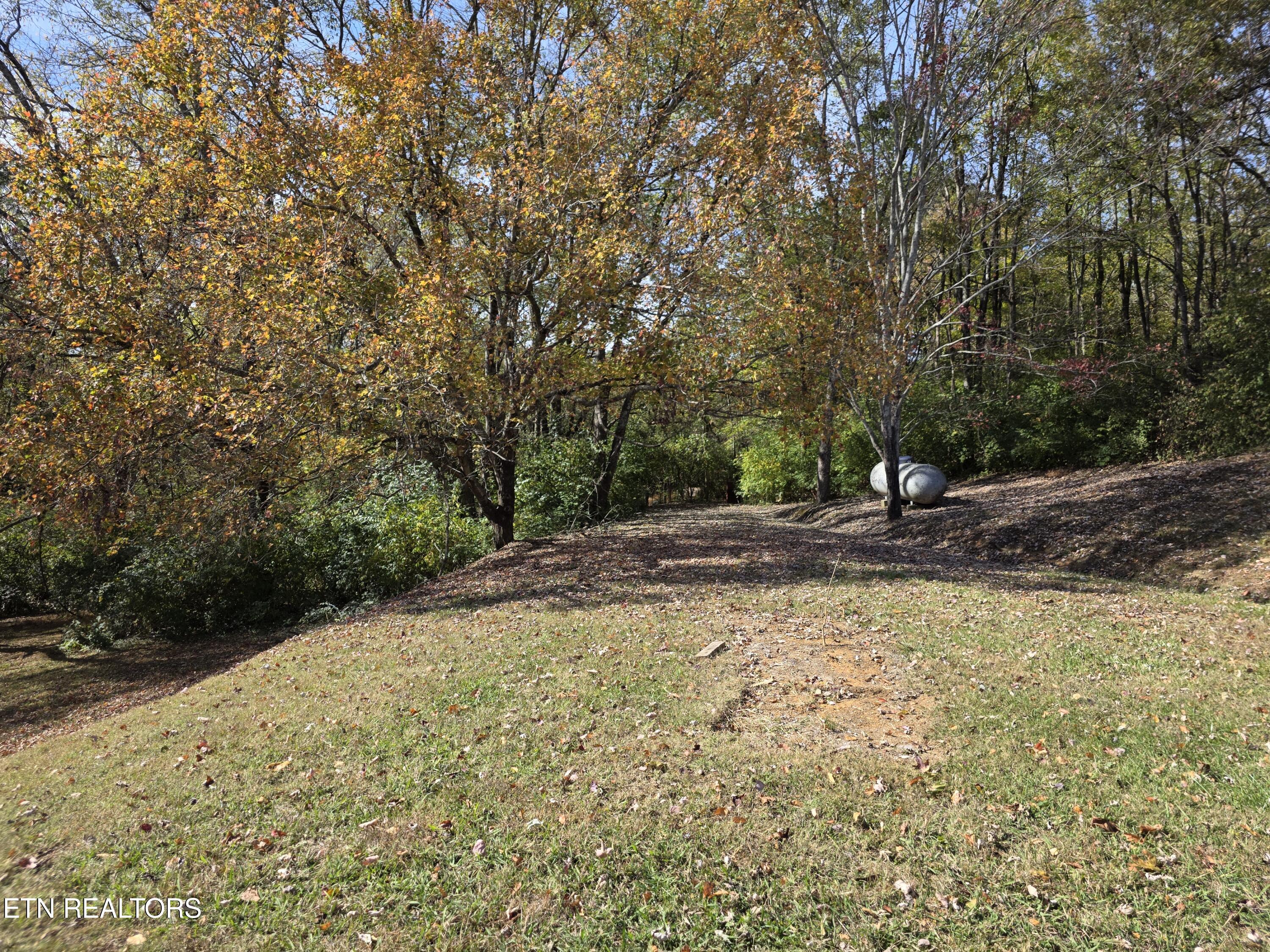 385 Shelton Road Newport, TN 37821 - Photo 35 of 44 1000022936