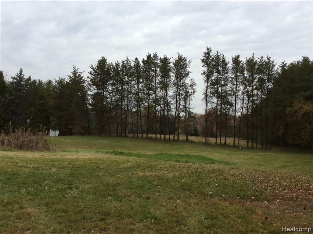 5411 East Frances Road Mount Morris, MI 48458 - Photo 23 of 23 IMG_0811.JPG