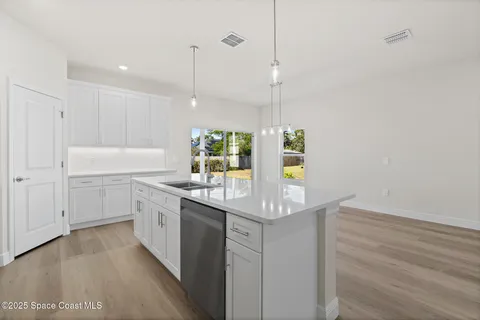 a kitchen with a sink a counter top space and cabinets