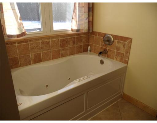 23883 Griffith Road Cambridge Springs, PA 16403 - Photo 12 of 18 Master Bath/Spa.