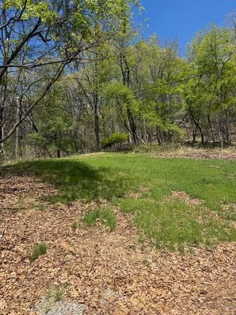 a view of a park with large trees