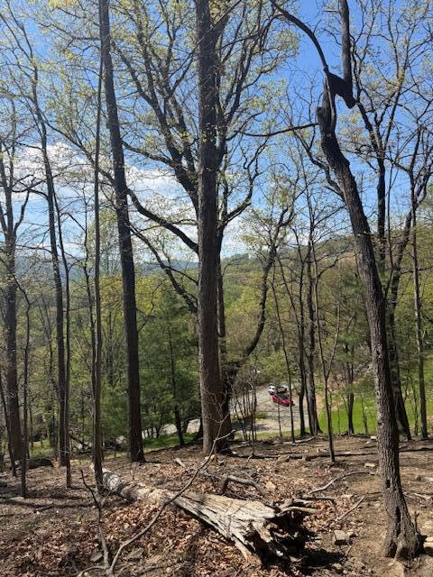 0 Sugar Loaf Mountain Road Roanoke, VA 24018 - Photo 11 of 35 a view of a forest filled with trees
