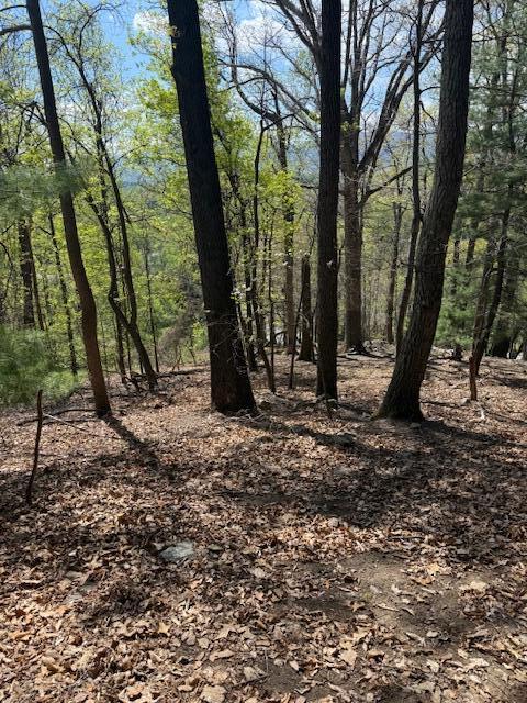 0 Sugar Loaf Mountain Road Roanoke, VA 24018 - Photo 14 of 35 a view of outdoor space with sink