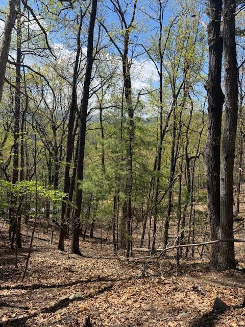 0 Sugar Loaf Mountain Road Roanoke, VA 24018 - Photo 16 of 35 a backyard of a house with lots of green space