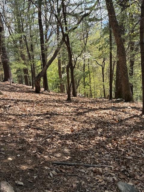 0 Sugar Loaf Mountain Road Roanoke, VA 24018 - Photo 18 of 35 a view of outdoor space with trees