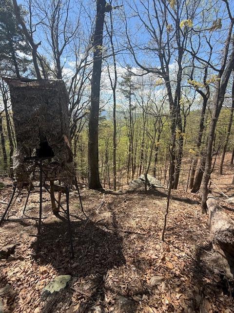 0 Sugar Loaf Mountain Road Roanoke, VA 24018 - Photo 19 of 35 a backyard of a house with lots of green space