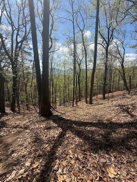 0 Sugar Loaf Mountain Road Roanoke, VA 24018 - Photo 20 of 35 a view of a yard with trees