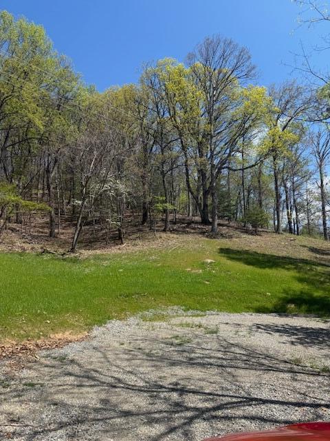 0 Sugar Loaf Mountain Road Roanoke, VA 24018 - Photo 2 of 35