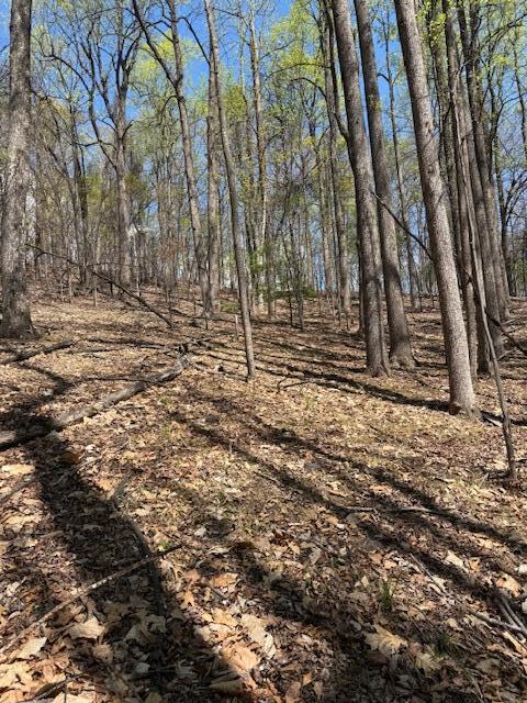 0 Sugar Loaf Mountain Road Roanoke, VA 24018 - Photo 21 of 35 a backyard of a house with lots of green space