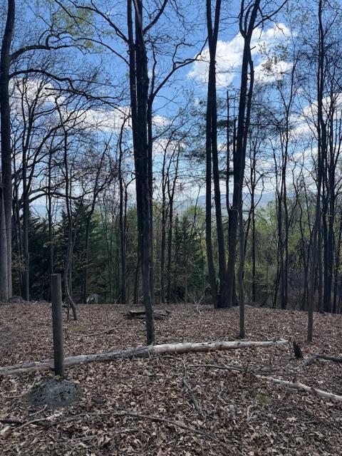 0 Sugar Loaf Mountain Road Roanoke, VA 24018 - Photo 22 of 35 a backyard of a house with lots of trees