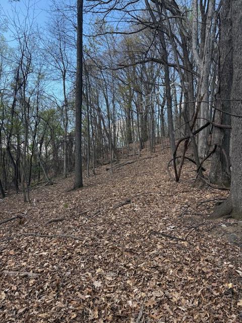 0 Sugar Loaf Mountain Road Roanoke, VA 24018 - Photo 23 of 35 a view of a yard with trees