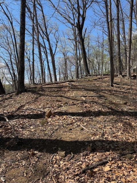 0 Sugar Loaf Mountain Road Roanoke, VA 24018 - Photo 25 of 35 a view of house with a yard