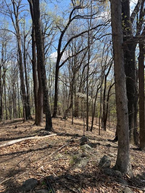 0 Sugar Loaf Mountain Road Roanoke, VA 24018 - Photo 27 of 35 a view of house with trees