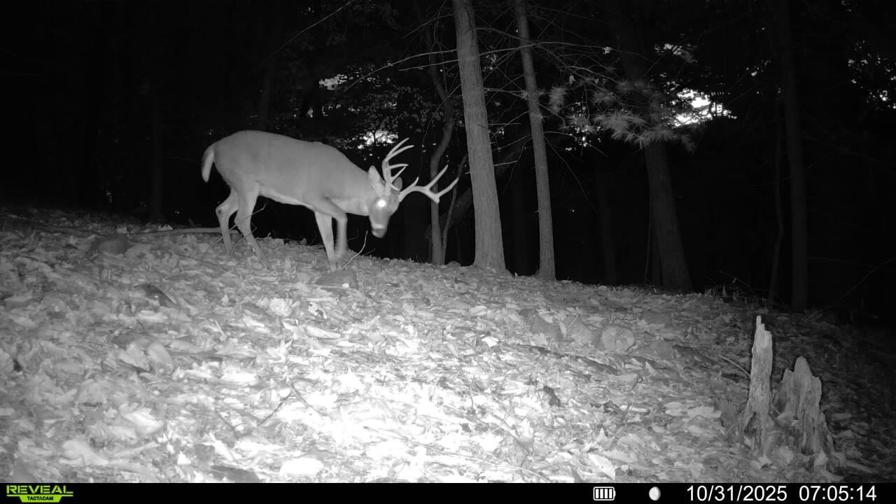0 Sugar Loaf Mountain Road Roanoke, VA 24018 - Photo 32 of 35 a view of a interior of the house