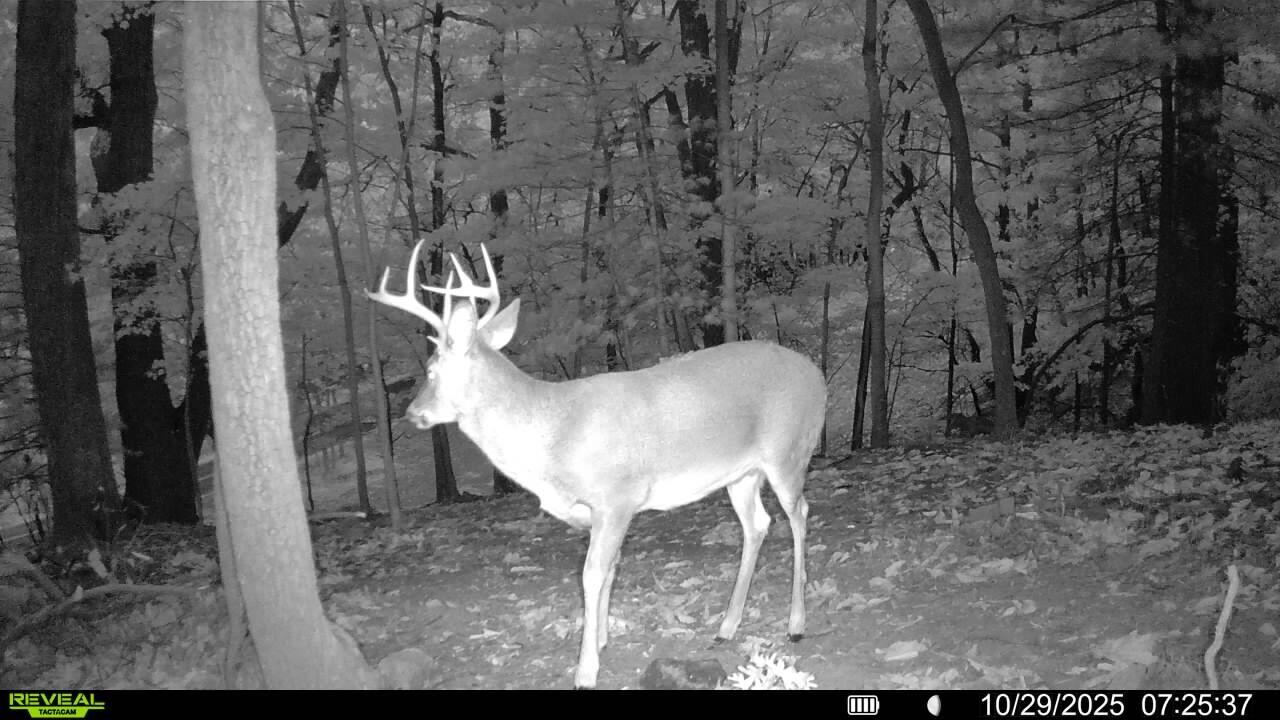 0 Sugar Loaf Mountain Road Roanoke, VA 24018 - Photo 34 of 35 a view of a balcony with table and chairs