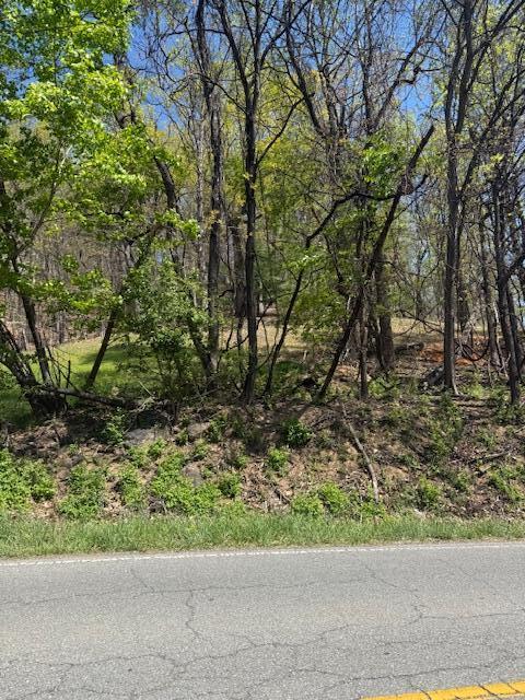 0 Sugar Loaf Mountain Road Roanoke, VA 24018 - Photo 4 of 35 a backyard of a house with lots of green space