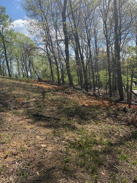 0 Sugar Loaf Mountain Road Roanoke, VA 24018 - Photo 6 of 35 a view of a yard with a tree