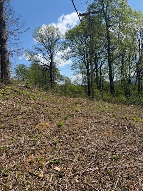 0 Sugar Loaf Mountain Road Roanoke, VA 24018 - Photo 7 of 35 a view of a yard with a tree
